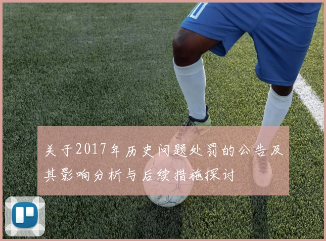 关于2017年历史问题处罚的公告及其影响分析与后续措施探讨