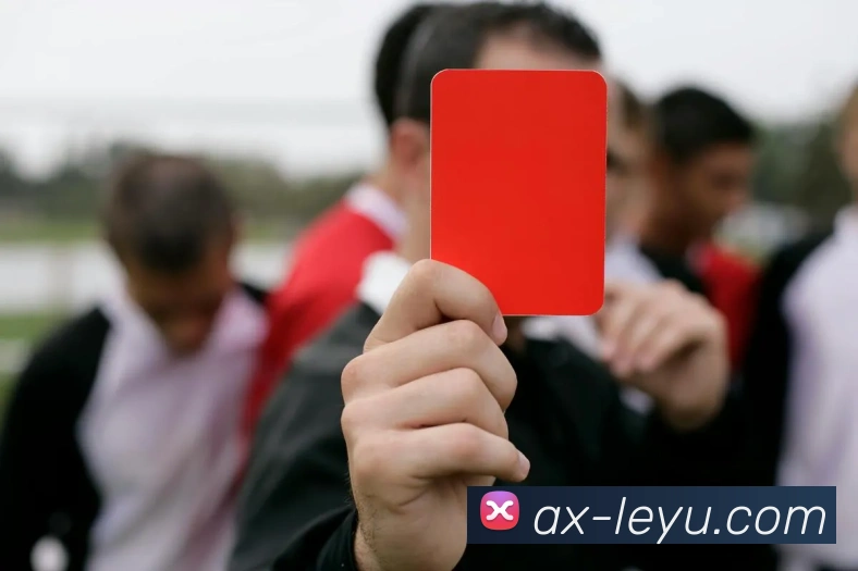 App Interface Preview