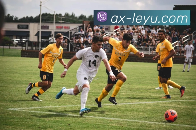 乐鱼体育APP 封面图