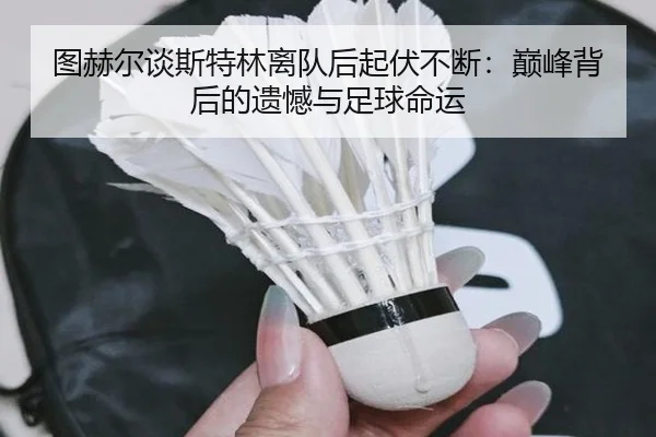 图赫尔谈斯特林离队后起伏不断：巅峰背后的遗憾与足球命运 - leyu